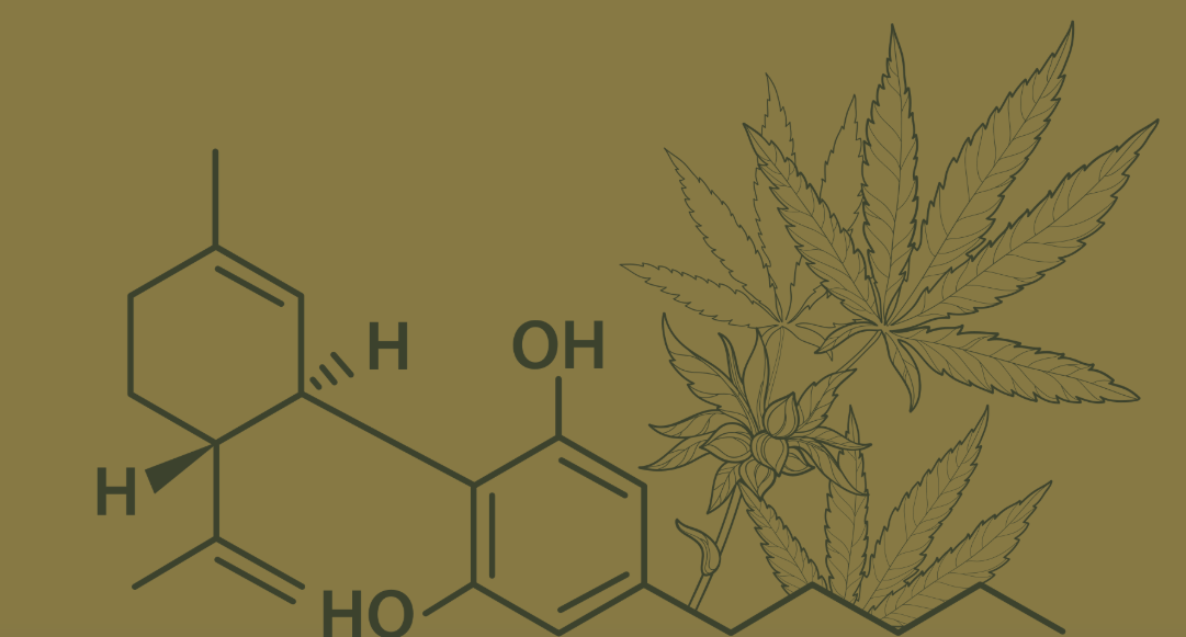 Cannabis Molecule Art